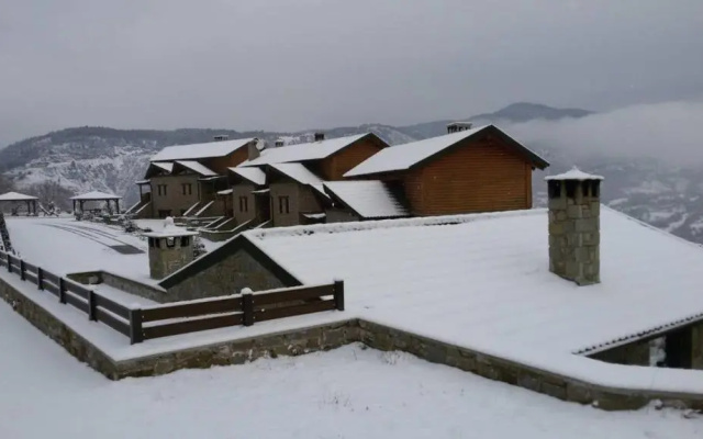 Pallas Casa