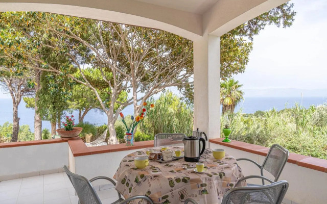 Palms Villa