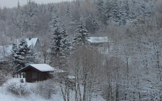 Chic Holiday Home in Medebach Germany near Ski Area