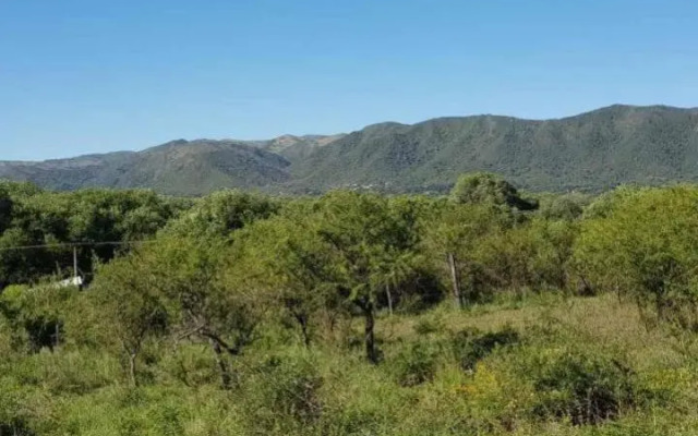 Los Arbolitos Cabañas y Aparts