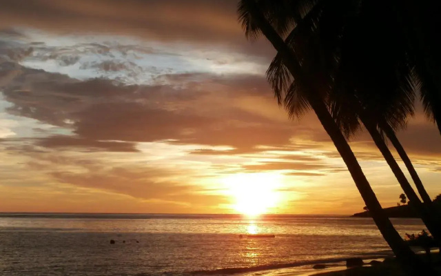 Palm View