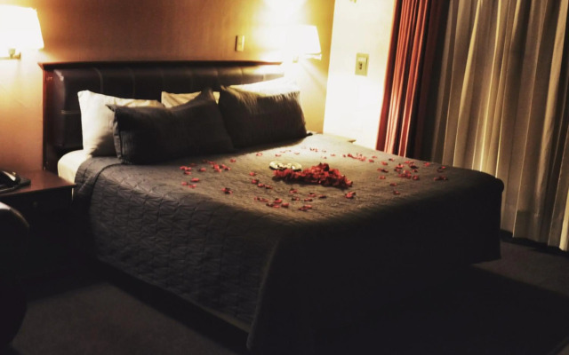 Hotel Flamingo Kristal