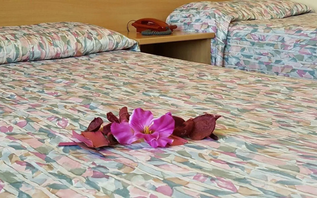 Hotel BB Porto Piombino