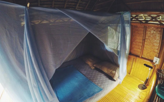the banana cabins