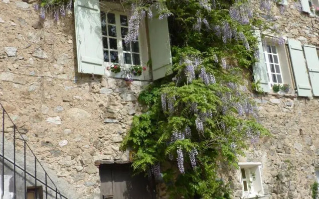 Sanglier Lodge