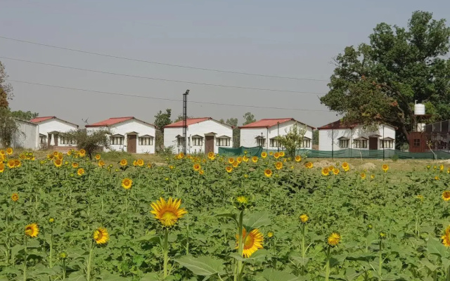 Living Green Farms