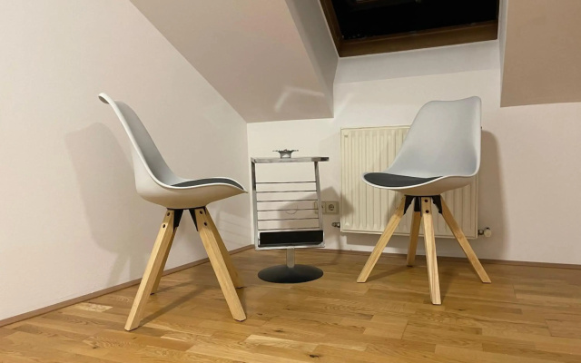 Ruhiges Dachgeschoß CityApartment im Zentrum Wiens