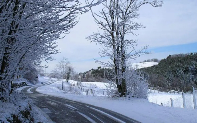 Internaturam