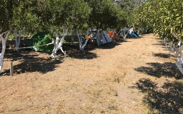 Bodrum Masali Camping