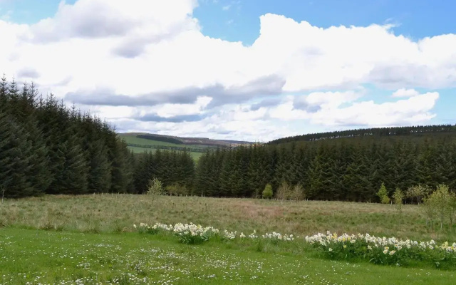 Jocky Milne'S Croft