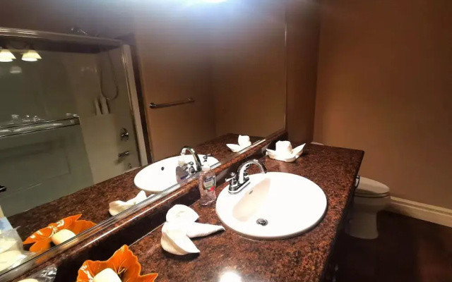 The Vacation House