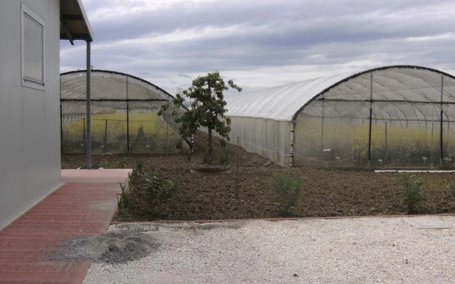 Agriturismo Centuria Del Rio