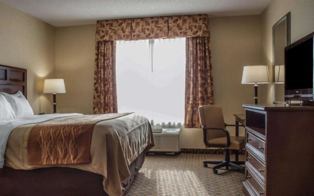 Comfort Inn & Suites Farmington - Victor