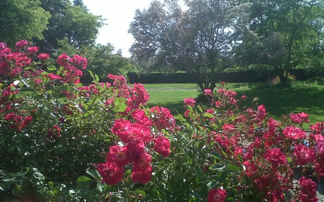 Country House