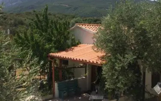 Villa L'Oliveto