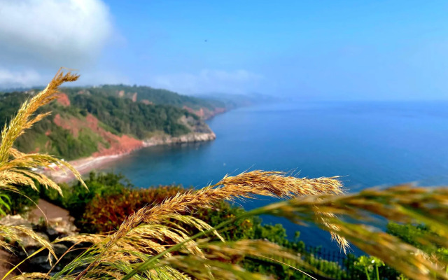 Rooms At Babbacombe