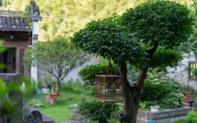 Huangshan yunwai jianshanxi B&B
