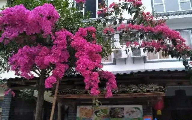 Tea  House