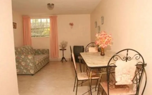 Palm Paradise Guest House and Apartments