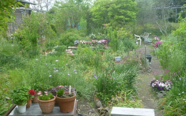 Pension Flora
