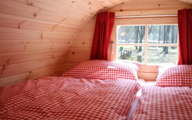 AZUR Waldcamping Auwaldsee