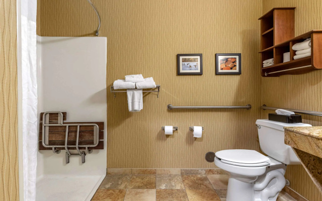 Comfort Inn Wings Stadium