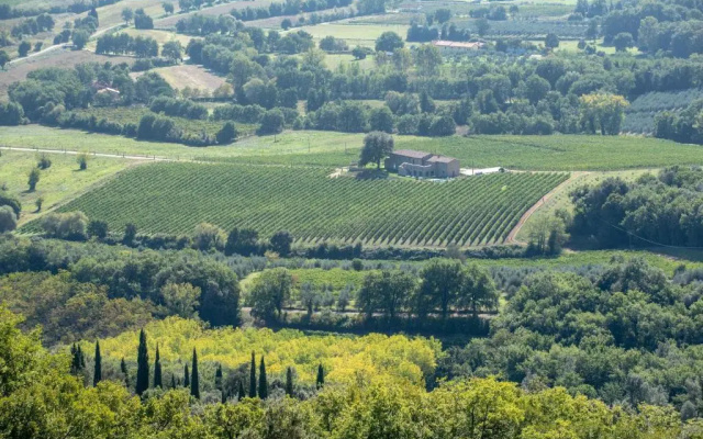Podere La Doccia