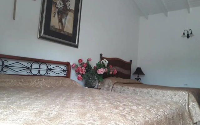 Palmita Hotel Hostel