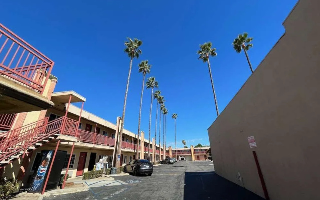 Palm Tree Inn