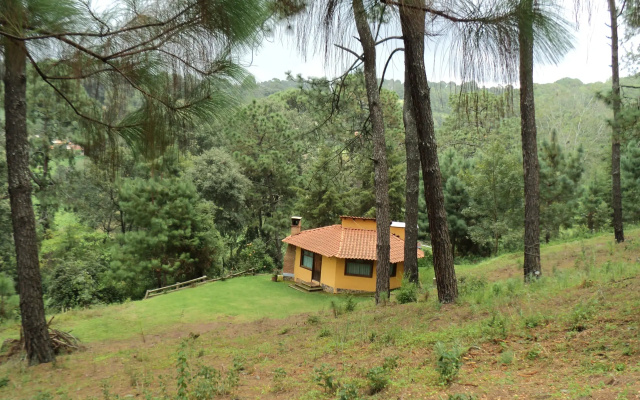 Cabañas El Pinar