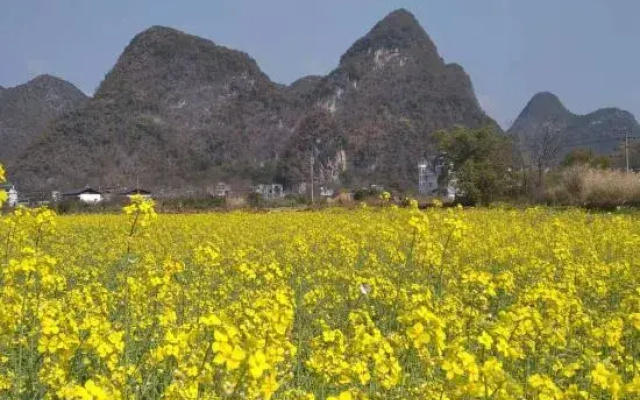 Yangshuo Shiyue Homestay (Yangshuo Yulonghe Scenic Area)