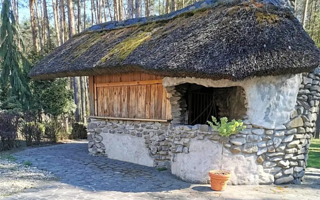 Noclegi Pod Borem