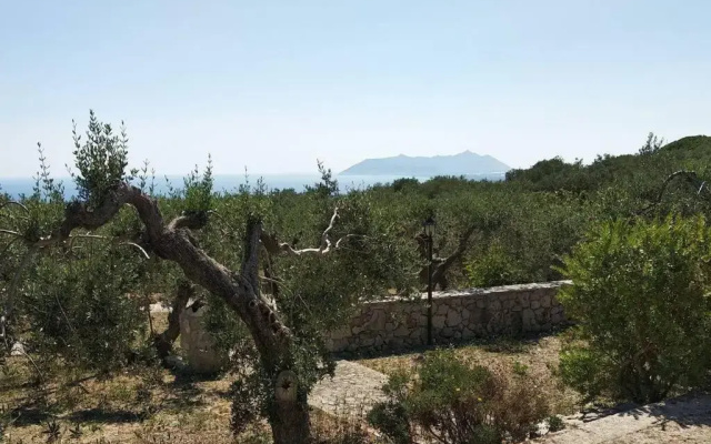 Il giardino di Mary