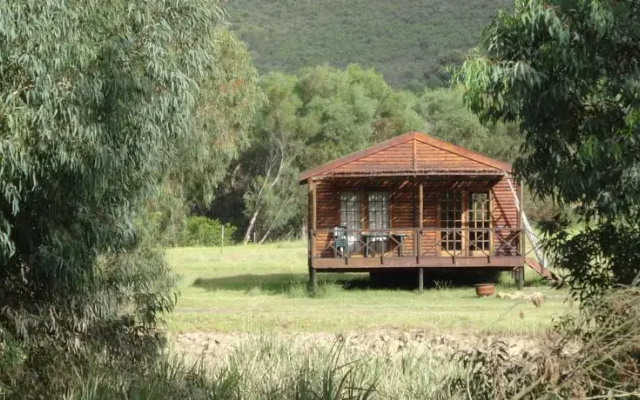 Our Camp Site