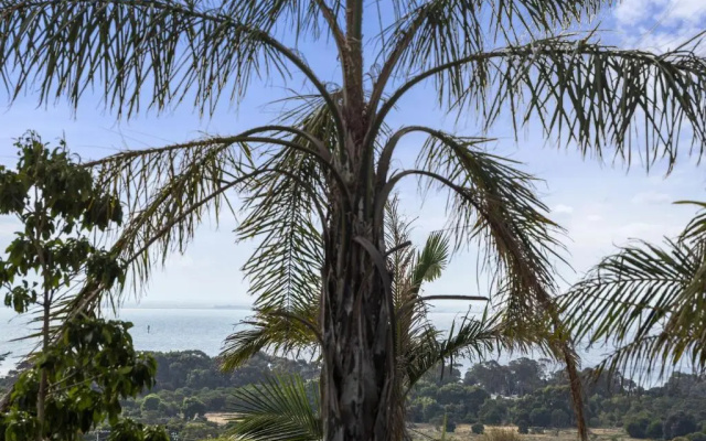 Bay View