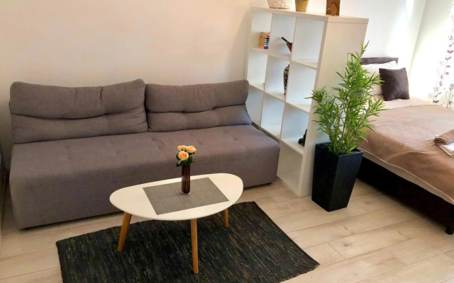 Modern Studio (Institut Majka i Dete)