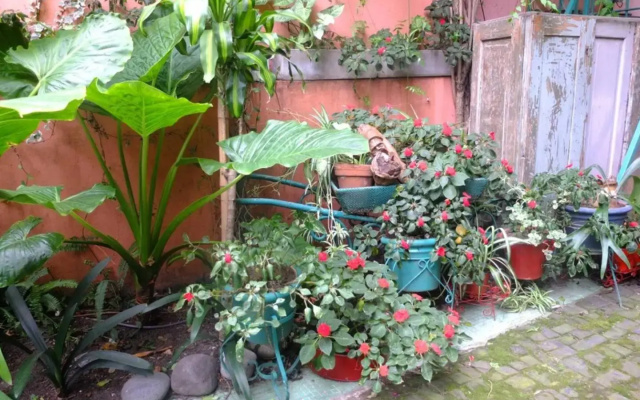 Casa San Telmo 13