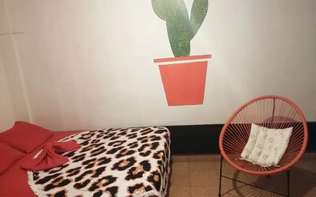 Zebulo Hostel