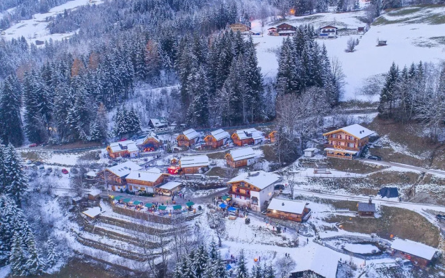 Chalet in Wildkogel Near Ski Slopes