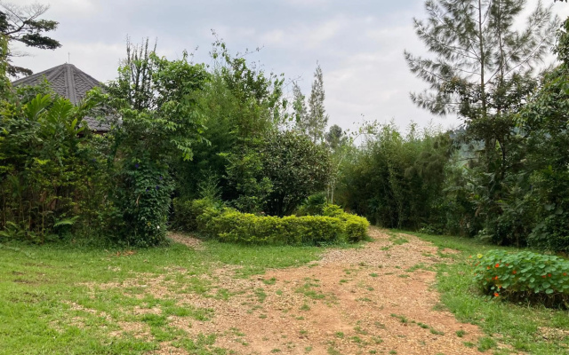 Bwindi Guest House