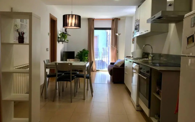 Apartament Centre Històric a Olot