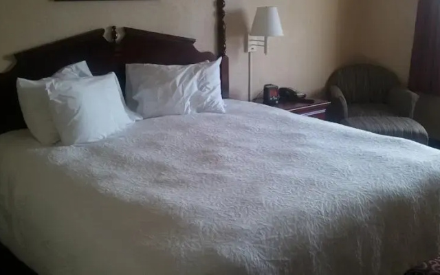 Irish House Hotel