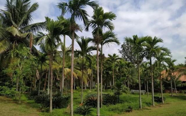 Vana Resorts