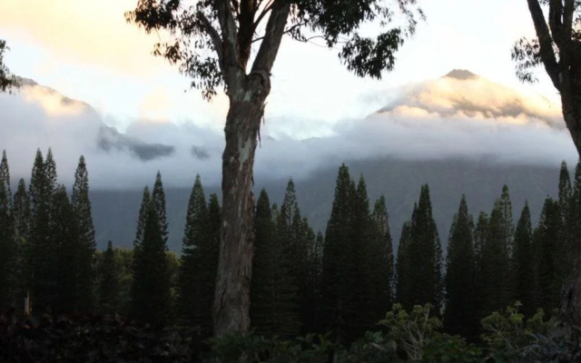 The Plantation at Princeville