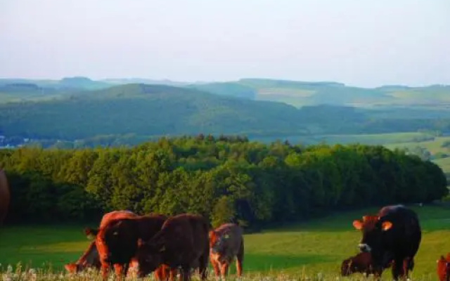 Panorama Gasthof Stemler