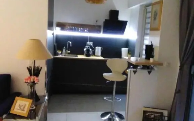 NICE- GAIRAUT - JARDIN PRIVE- GRAND F1 LUMINEUX-Piscine Collective