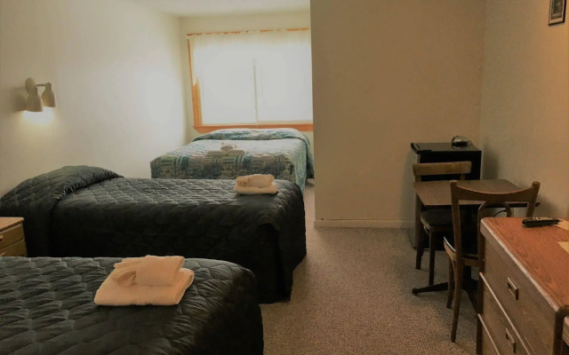 Chalet Killington