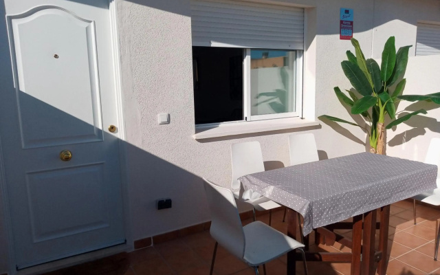 AmaNacer Oliva
