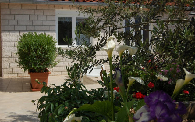 Studio apartment Marti - free parking and grill: SA2 - Studio Hvar, Island Hvar