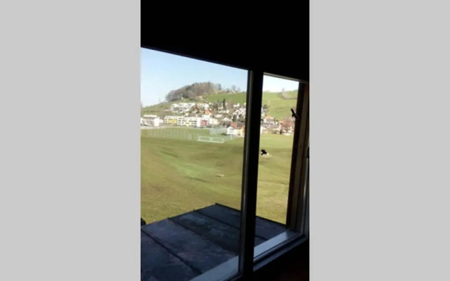Gemütliches Ferienstudio